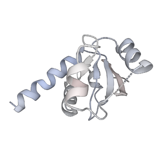 14751_7zjw_Lt_v1-0
Rabbit 80S ribosome as it decodes the Sec-UGA codon