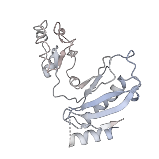 14751_7zjw_Lx_v1-0
Rabbit 80S ribosome as it decodes the Sec-UGA codon