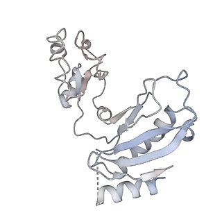 14751_7zjw_Lx_v2-0
Rabbit 80S ribosome as it decodes the Sec-UGA codon