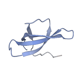 14751_7zjw_SC_v1-0
Rabbit 80S ribosome as it decodes the Sec-UGA codon