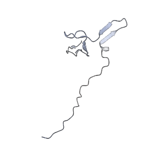 14751_7zjw_SD_v1-0
Rabbit 80S ribosome as it decodes the Sec-UGA codon