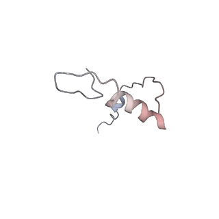 14751_7zjw_SE_v1-0
Rabbit 80S ribosome as it decodes the Sec-UGA codon