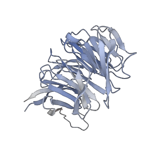 14751_7zjw_SG_v1-0
Rabbit 80S ribosome as it decodes the Sec-UGA codon