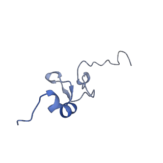14751_7zjw_SH_v1-0
Rabbit 80S ribosome as it decodes the Sec-UGA codon