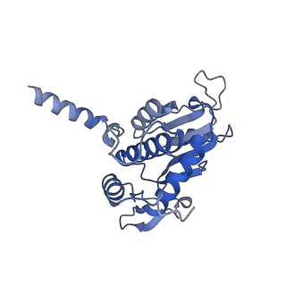 14751_7zjw_SL_v1-0
Rabbit 80S ribosome as it decodes the Sec-UGA codon