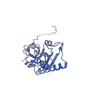 14751_7zjw_SM_v1-0
Rabbit 80S ribosome as it decodes the Sec-UGA codon
