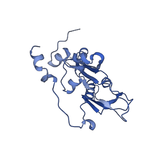 14751_7zjw_SN_v2-0
Rabbit 80S ribosome as it decodes the Sec-UGA codon