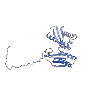 14751_7zjw_SO_v1-0
Rabbit 80S ribosome as it decodes the Sec-UGA codon