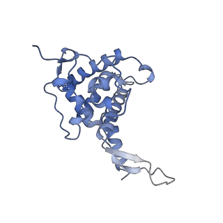14751_7zjw_SQ_v1-0
Rabbit 80S ribosome as it decodes the Sec-UGA codon