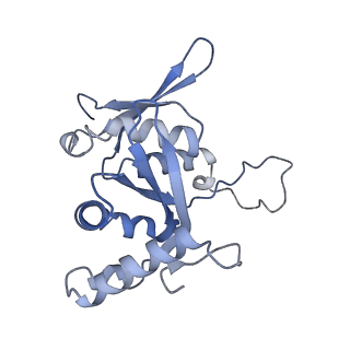 14751_7zjw_SS_v1-0
Rabbit 80S ribosome as it decodes the Sec-UGA codon