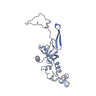 14751_7zjw_ST_v1-0
Rabbit 80S ribosome as it decodes the Sec-UGA codon