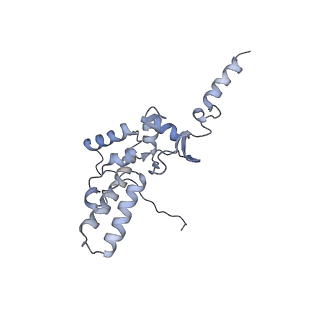 14751_7zjw_SU_v1-0
Rabbit 80S ribosome as it decodes the Sec-UGA codon