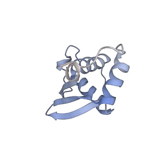 14751_7zjw_SV_v1-0
Rabbit 80S ribosome as it decodes the Sec-UGA codon