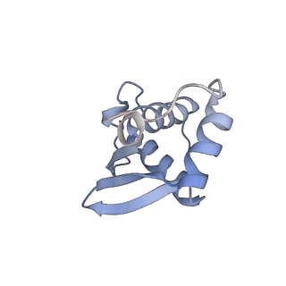 14751_7zjw_SV_v2-0
Rabbit 80S ribosome as it decodes the Sec-UGA codon
