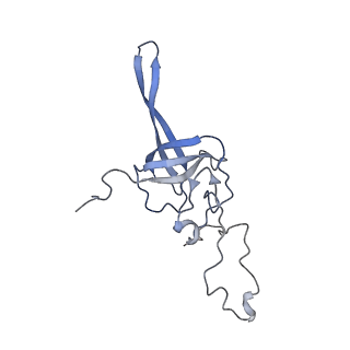 14751_7zjw_SW_v1-0
Rabbit 80S ribosome as it decodes the Sec-UGA codon