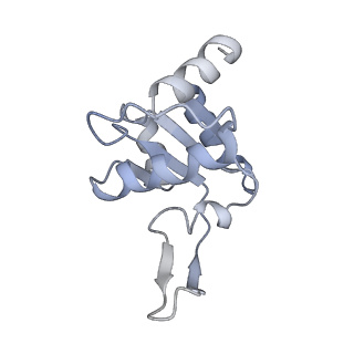 14751_7zjw_SX_v1-0
Rabbit 80S ribosome as it decodes the Sec-UGA codon