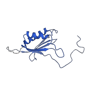 14751_7zjw_SZ_v1-0
Rabbit 80S ribosome as it decodes the Sec-UGA codon