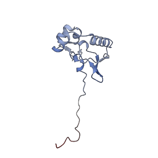 14751_7zjw_Sa_v1-0
Rabbit 80S ribosome as it decodes the Sec-UGA codon