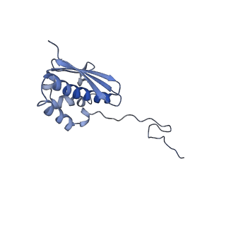 14751_7zjw_Sb_v1-0
Rabbit 80S ribosome as it decodes the Sec-UGA codon