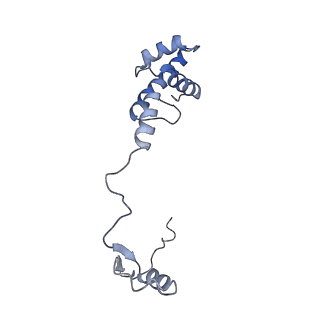 14751_7zjw_Sc_v1-0
Rabbit 80S ribosome as it decodes the Sec-UGA codon