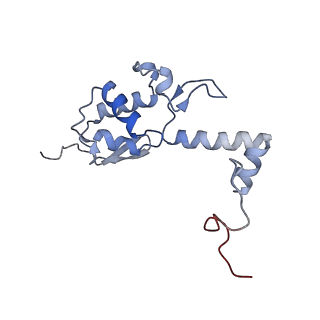 14751_7zjw_Sd_v1-0
Rabbit 80S ribosome as it decodes the Sec-UGA codon