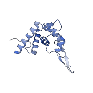 14751_7zjw_Se_v1-0
Rabbit 80S ribosome as it decodes the Sec-UGA codon