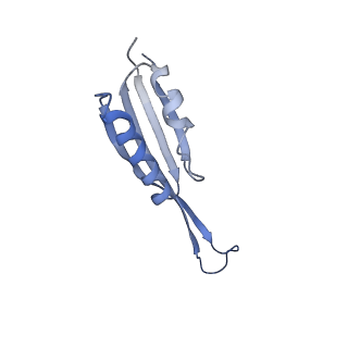 14751_7zjw_Sf_v1-0
Rabbit 80S ribosome as it decodes the Sec-UGA codon