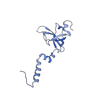 14751_7zjw_Si_v1-0
Rabbit 80S ribosome as it decodes the Sec-UGA codon