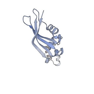 14751_7zjw_Sj_v1-0
Rabbit 80S ribosome as it decodes the Sec-UGA codon