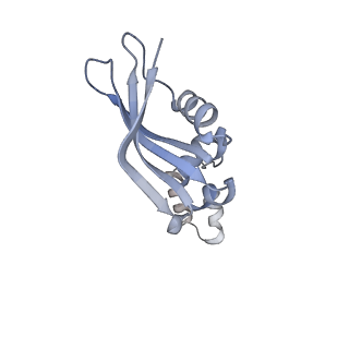 14751_7zjw_Sj_v2-0
Rabbit 80S ribosome as it decodes the Sec-UGA codon