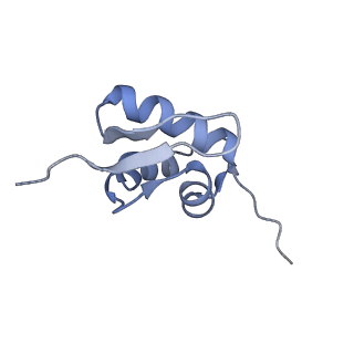 14751_7zjw_Sk_v1-0
Rabbit 80S ribosome as it decodes the Sec-UGA codon