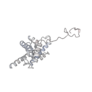 14752_7zjx_B_v1-0
Rabbit 80S ribosome programmed with SECIS and SBP2