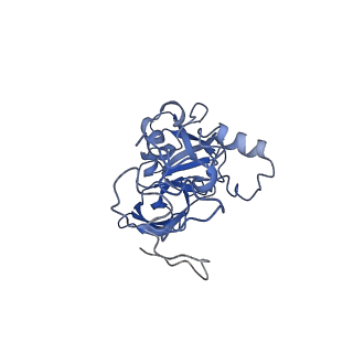 14752_7zjx_LD_v1-0
Rabbit 80S ribosome programmed with SECIS and SBP2