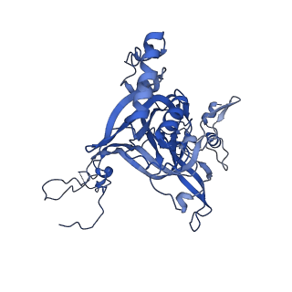 14752_7zjx_LE_v1-0
Rabbit 80S ribosome programmed with SECIS and SBP2
