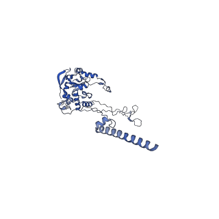 14752_7zjx_LF_v1-0
Rabbit 80S ribosome programmed with SECIS and SBP2