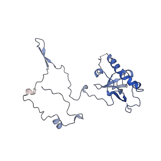 14752_7zjx_LH_v1-0
Rabbit 80S ribosome programmed with SECIS and SBP2