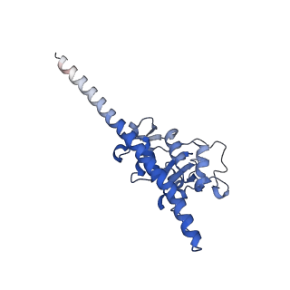 14752_7zjx_LI_v1-0
Rabbit 80S ribosome programmed with SECIS and SBP2