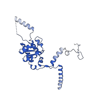 14752_7zjx_LJ_v1-0
Rabbit 80S ribosome programmed with SECIS and SBP2