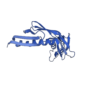 14752_7zjx_LK_v1-0
Rabbit 80S ribosome programmed with SECIS and SBP2