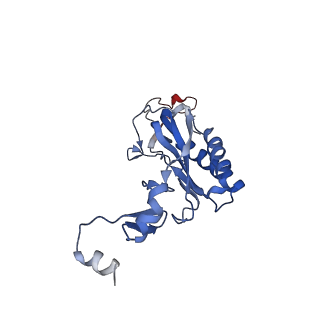 14752_7zjx_LL_v1-0
Rabbit 80S ribosome programmed with SECIS and SBP2