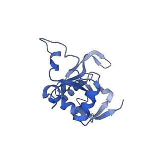 14752_7zjx_LM_v1-0
Rabbit 80S ribosome programmed with SECIS and SBP2