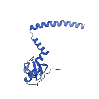 14752_7zjx_LP_v1-0
Rabbit 80S ribosome programmed with SECIS and SBP2