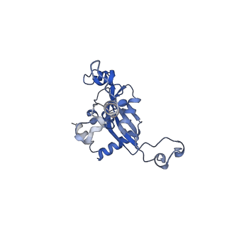 14752_7zjx_LQ_v1-0
Rabbit 80S ribosome programmed with SECIS and SBP2