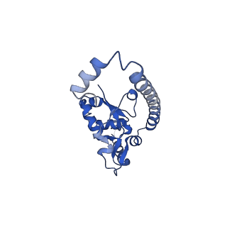 14752_7zjx_LR_v1-0
Rabbit 80S ribosome programmed with SECIS and SBP2