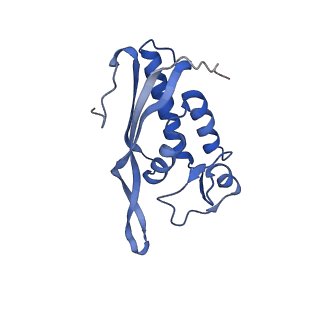 14752_7zjx_LS_v1-0
Rabbit 80S ribosome programmed with SECIS and SBP2