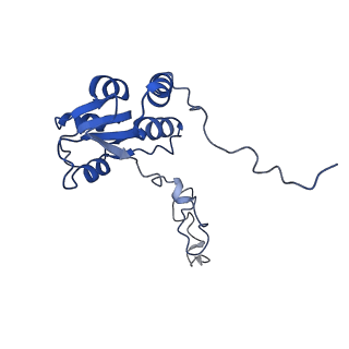 14752_7zjx_LT_v1-0
Rabbit 80S ribosome programmed with SECIS and SBP2
