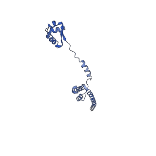 14752_7zjx_LU_v1-0
Rabbit 80S ribosome programmed with SECIS and SBP2