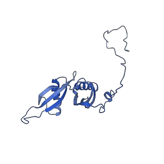 14752_7zjx_LV_v1-0
Rabbit 80S ribosome programmed with SECIS and SBP2