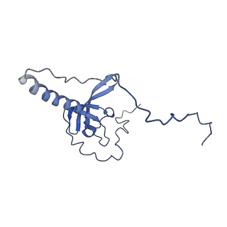 14752_7zjx_LW_v1-0
Rabbit 80S ribosome programmed with SECIS and SBP2