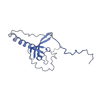 14752_7zjx_LW_v2-0
Rabbit 80S ribosome programmed with SECIS and SBP2